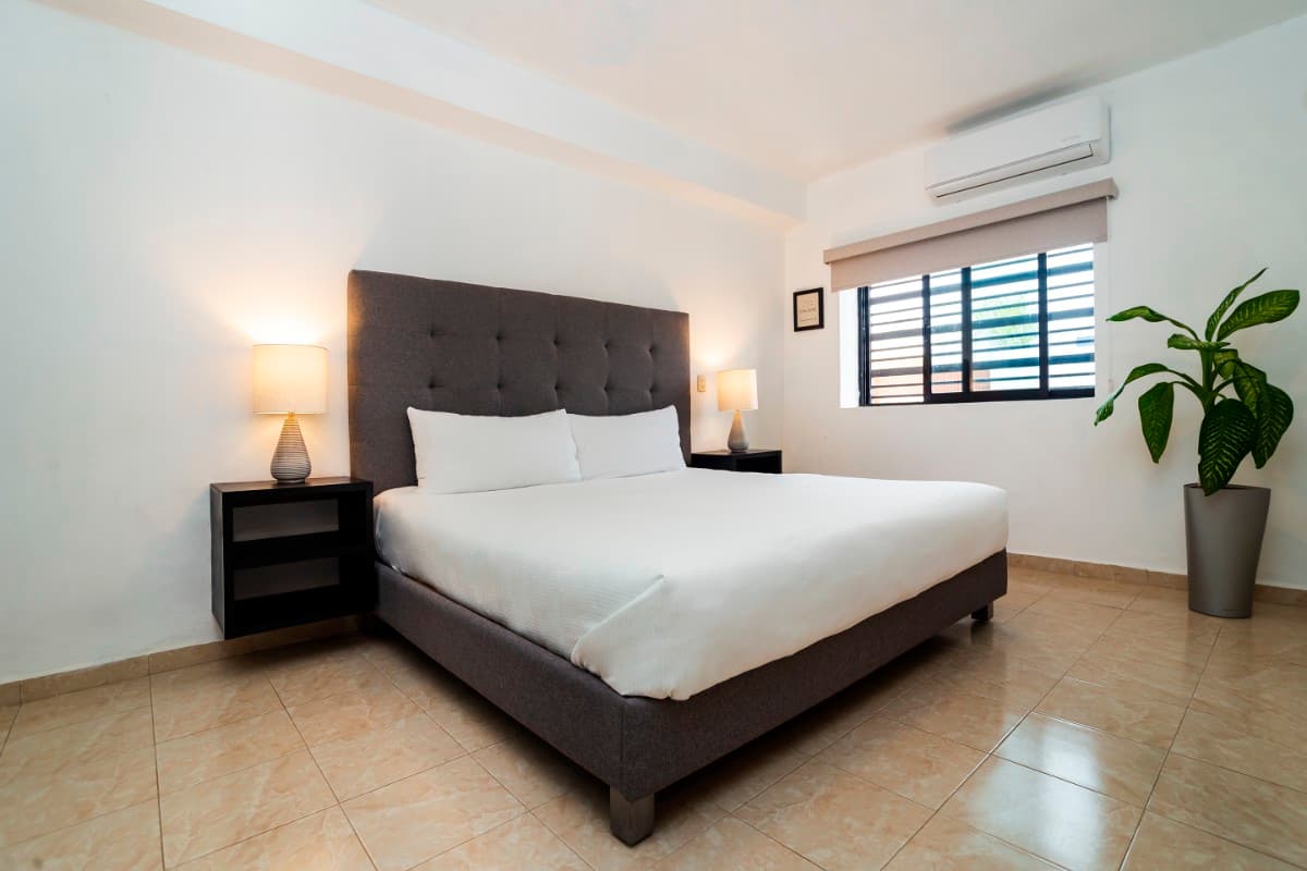 Suite Estandar King Sencilla imagen 2