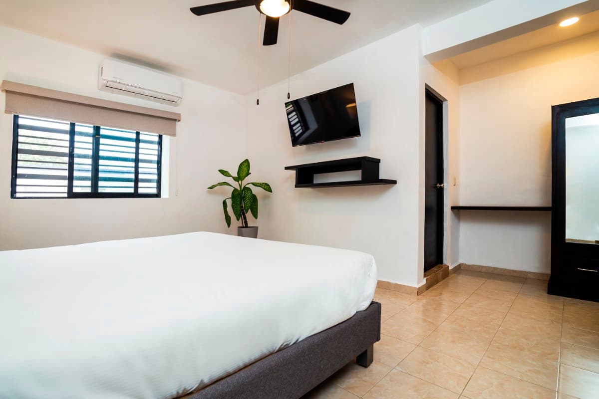 Suite Estandar King Sencilla imagen 4